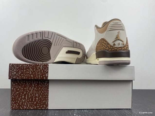 CT8532-102 3 Palomino Jordan Air 1010